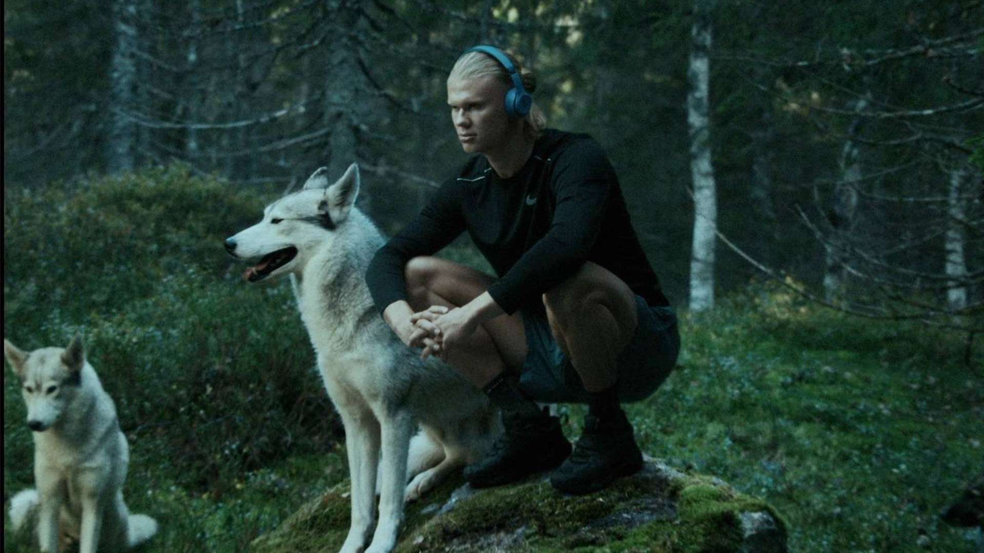 取得良機 取得良機